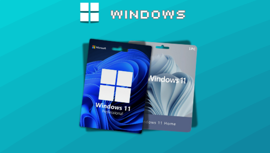 Operating System